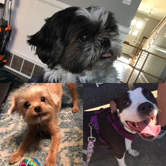 Meet your Posher! - Picture 6 of 6